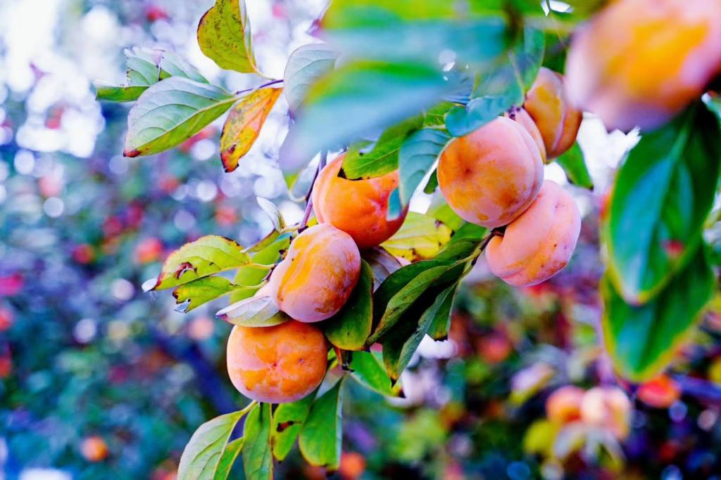 The Role of Ratings in&nbsp;Greenwashing