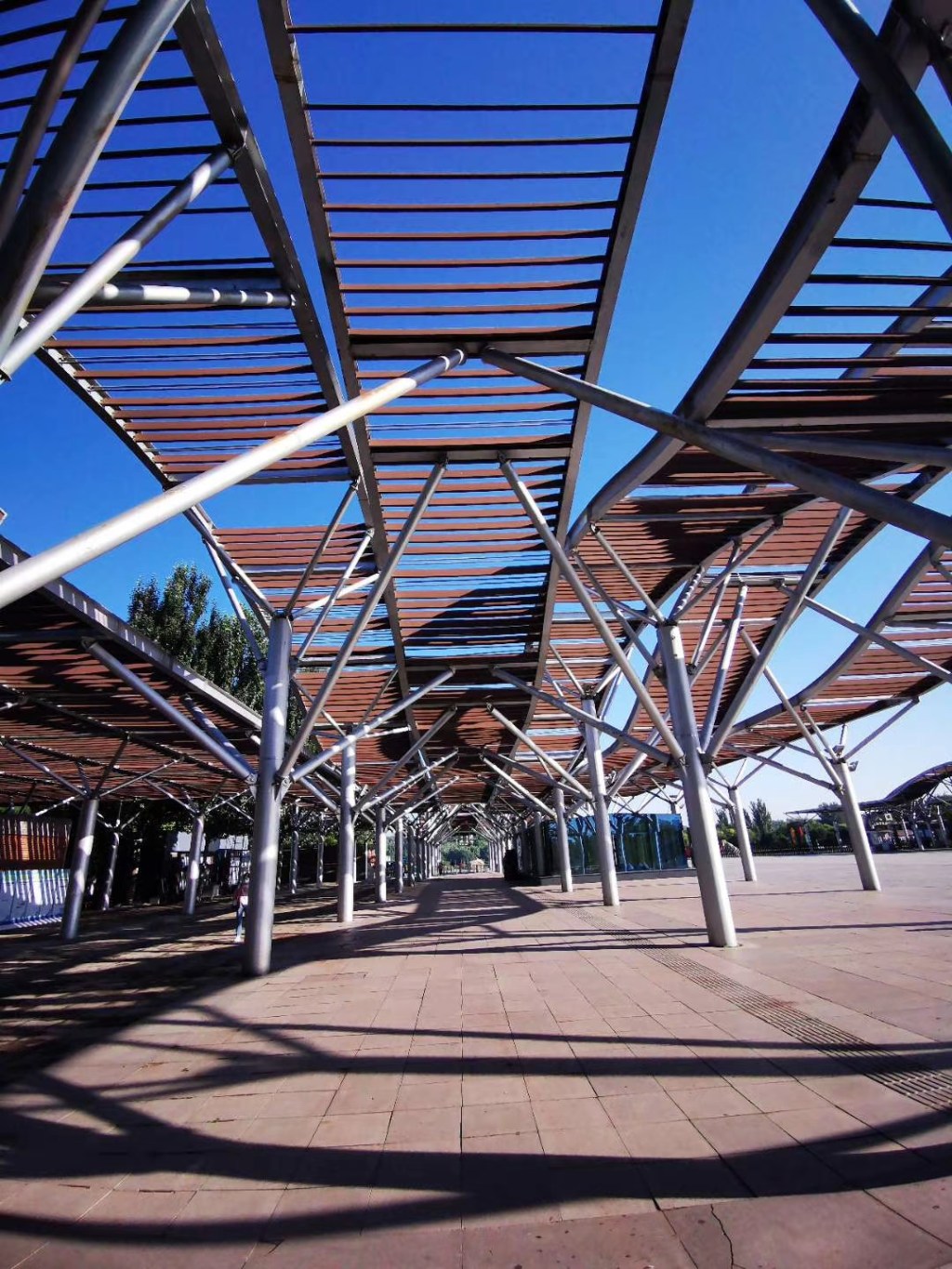 Well on Track with Around 50%&nbsp;Growth