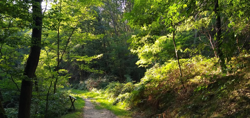 With my-si More Sustainability Is In&nbsp;Sight