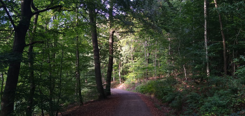 Legal Characteristics of Forest&nbsp;Ownership