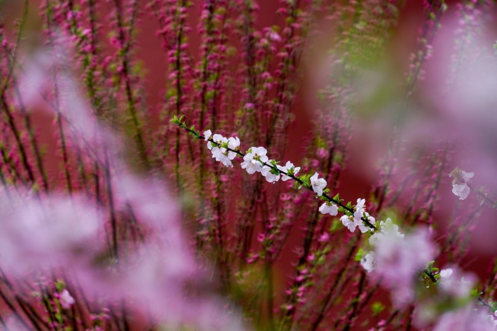 From Quantity to Quality, from Attention to&nbsp;Action