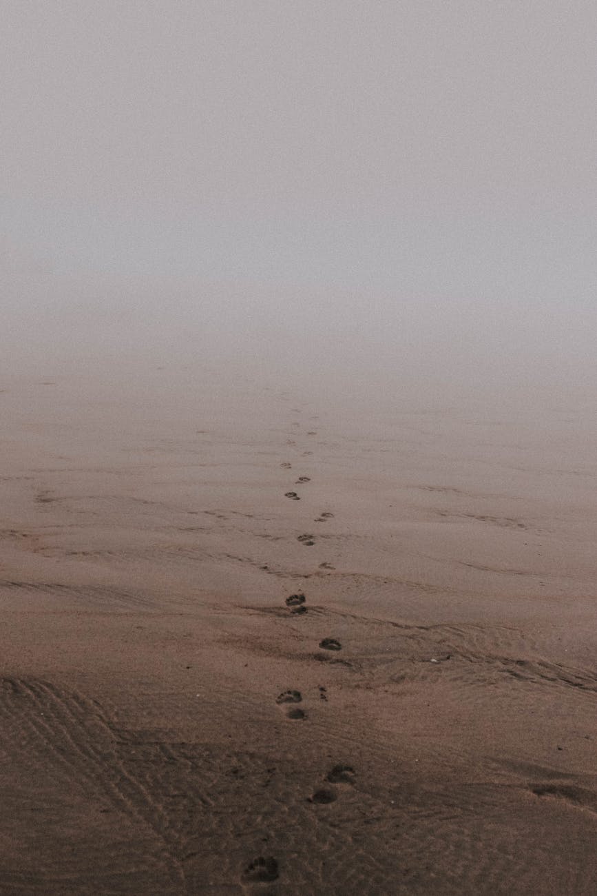 More Evidence on&nbsp;EY