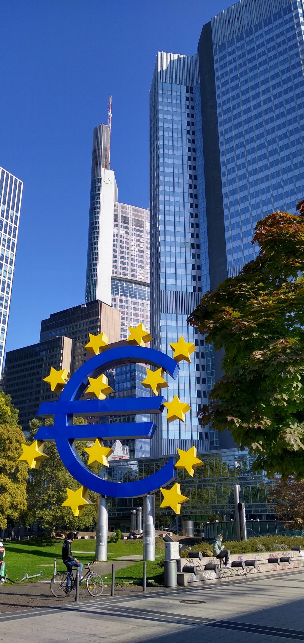 ECB Sidelines Private Investors